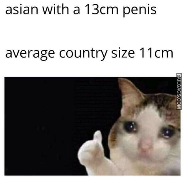 Asian With a 13cm Penis Average Country Size 11cm Funny Dirty Memes