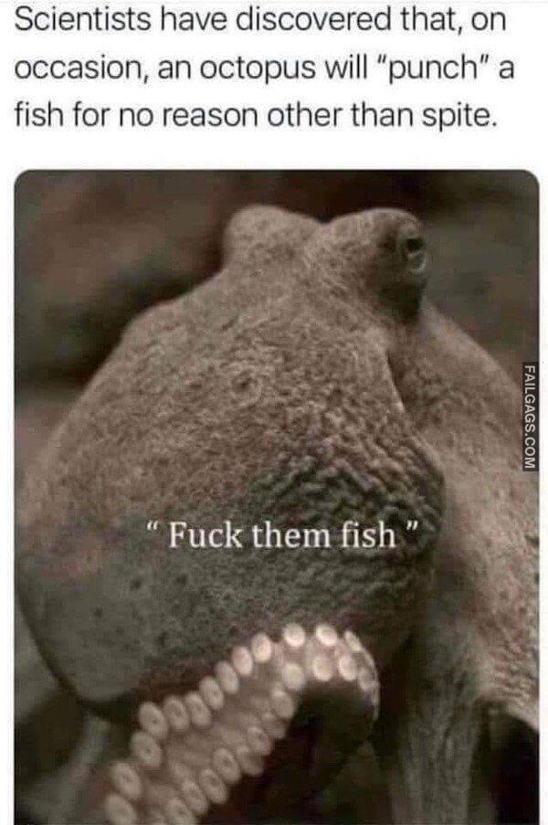 Funny Adult Memes 11 2