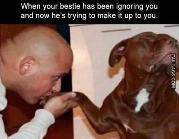 Funny Adult Memes 9 1