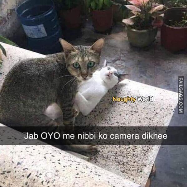 Funny Desi Adult Memes 3