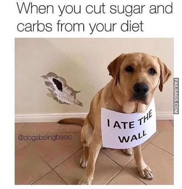Funny Diet Memes (15 Photos)