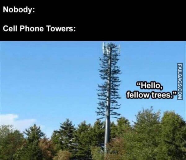 Random Funny Memes 1 3