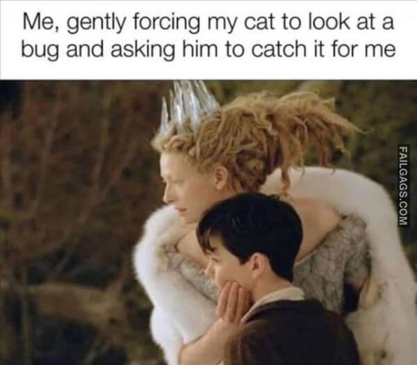 Random Funny Memes 1 4