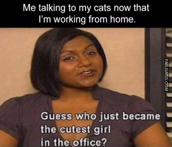 Random Funny Memes 12 1