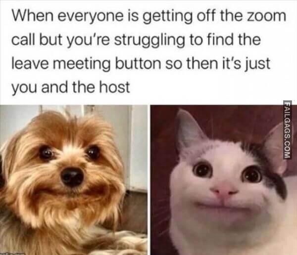 Random Funny Memes 12 5