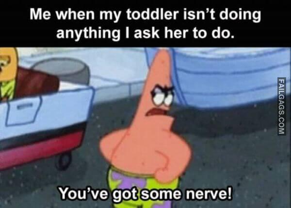 Random Funny Memes 12 6