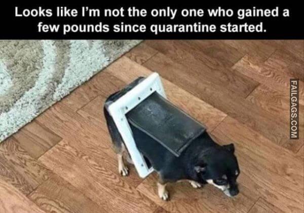 Random Funny Memes 12