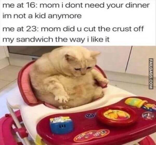 Random Funny Memes 13 8