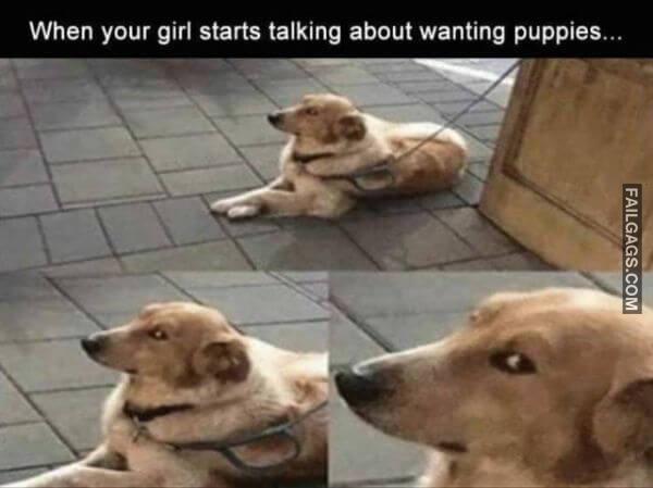 Random Funny Memes 13 9