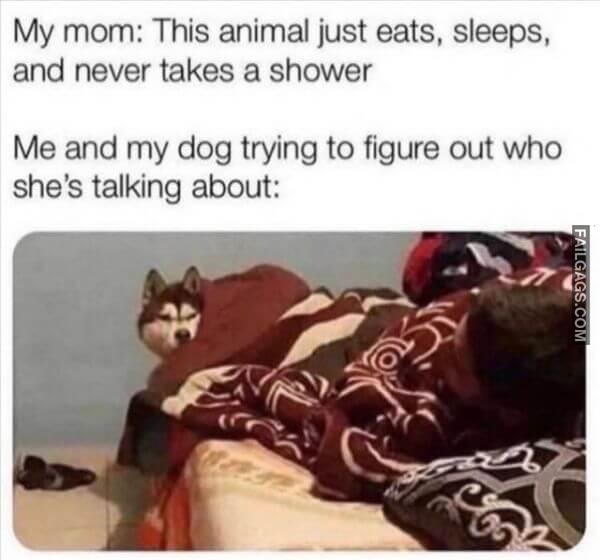 Random Funny Memes 14 8