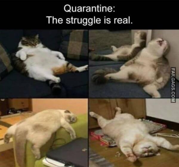 Random Funny Memes 15 1