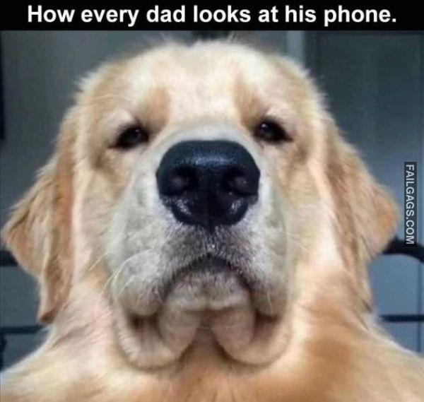 Random Funny Memes 2 1