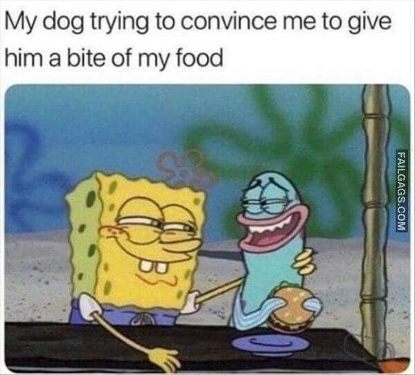 Random Funny Memes 2 3