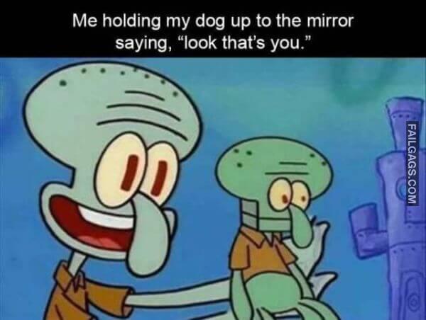 Random Funny Memes 2