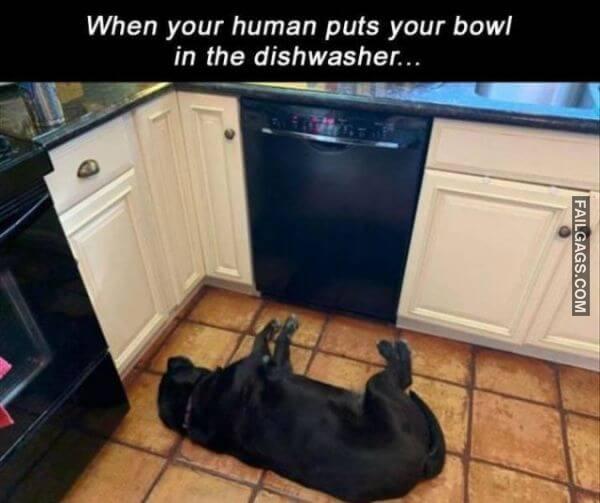 Random Funny Memes 3 3