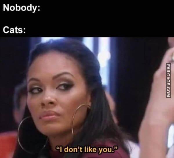 Random Funny Memes 3