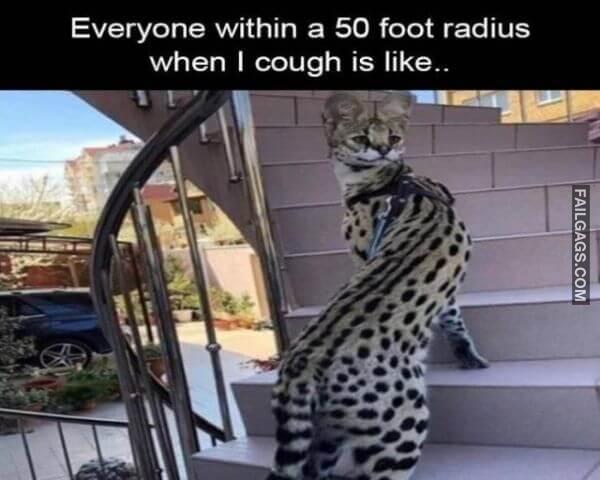 Random Funny Memes 5 3