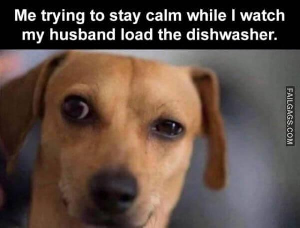 Random Funny Memes 5 4