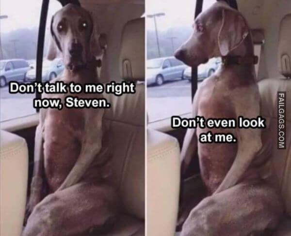 Random Funny Memes 5 9