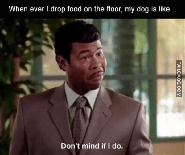 Random Funny Memes 6 1