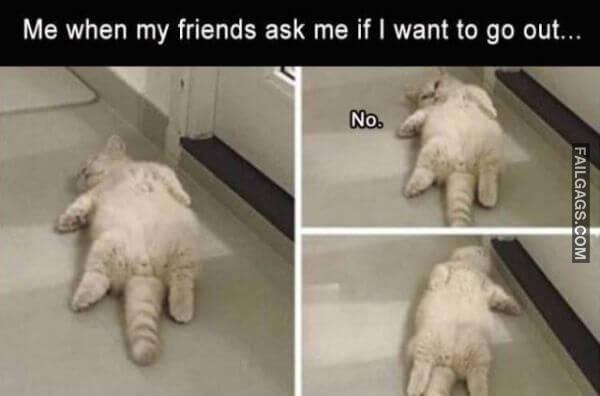 Random Funny Memes 7