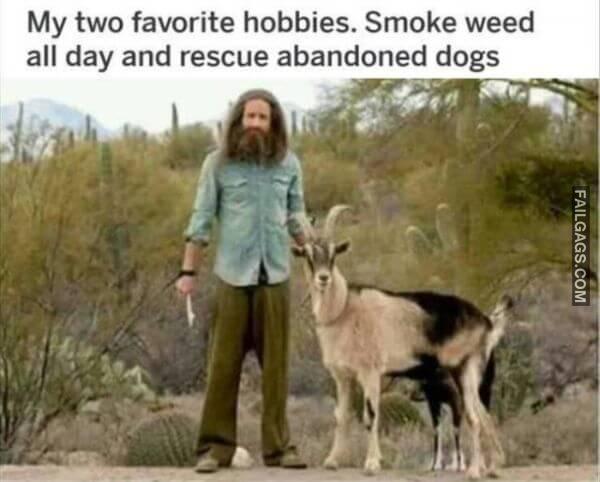 Random Funny Memes 8 10