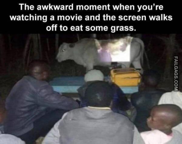 Random Funny Memes 8 6