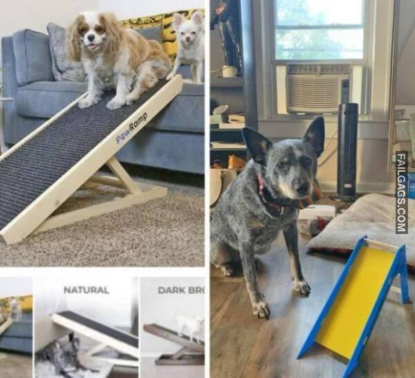 Expectations Vs Reality 11