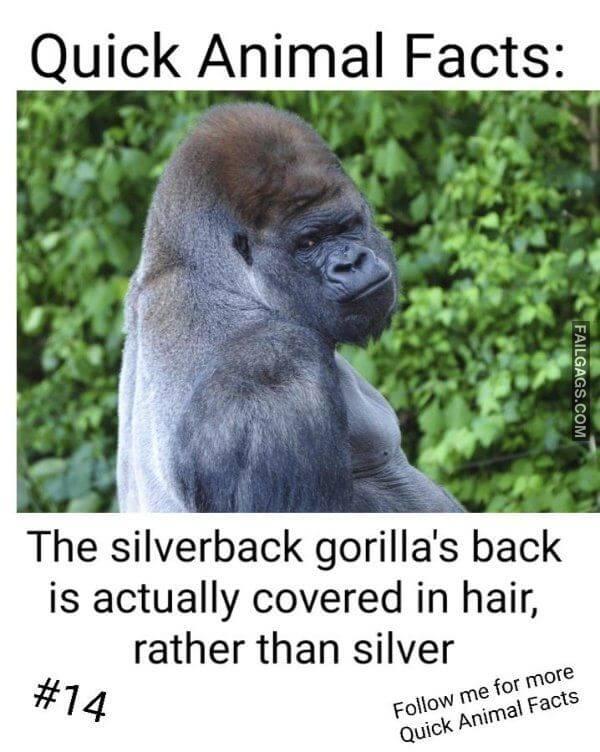 Funny 18 Dirty Memes 5 2