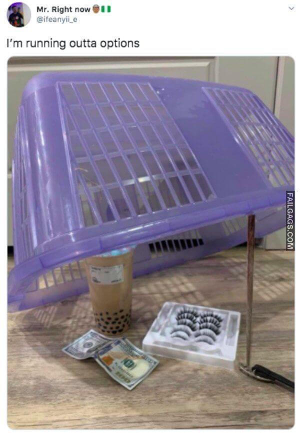 Funny Dating Memes 6