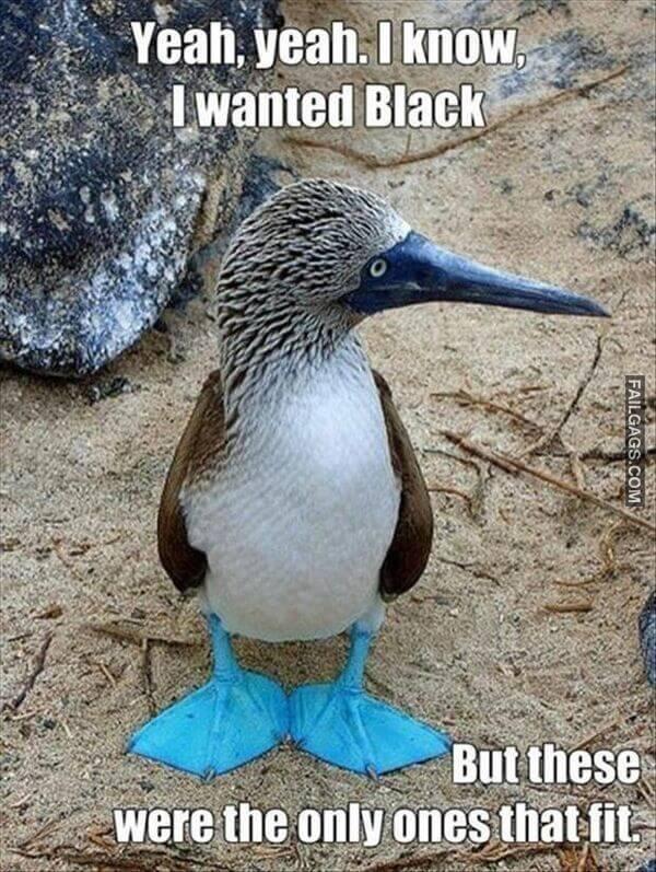 Funny So True Memes 11