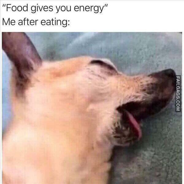 Funny So True Memes 14