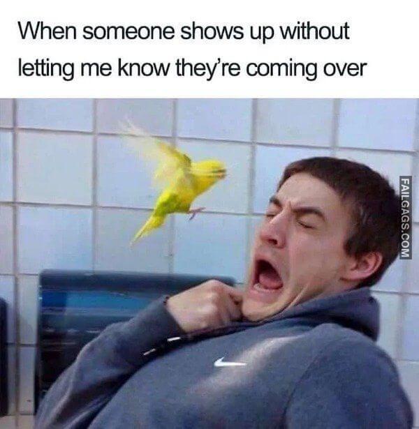 Funny So True Memes 2 1