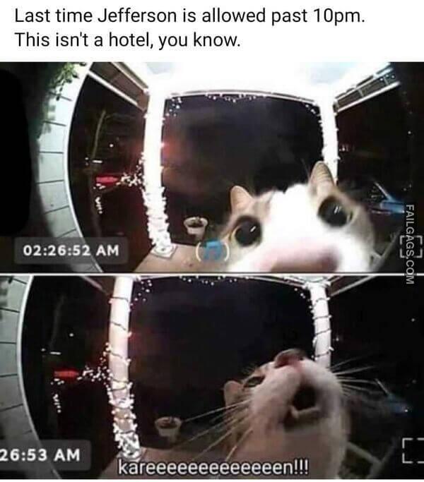 Funny So True Memes 9