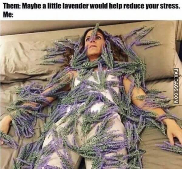 Random Funny Memes 10 10