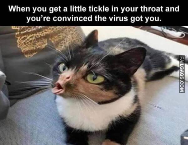 Random Funny Memes 10 2