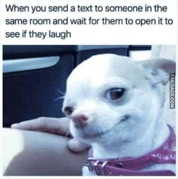 Random Funny Memes 10 3