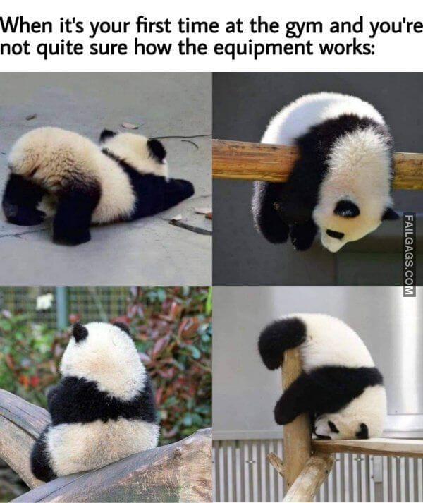 Random Funny Memes 11 11