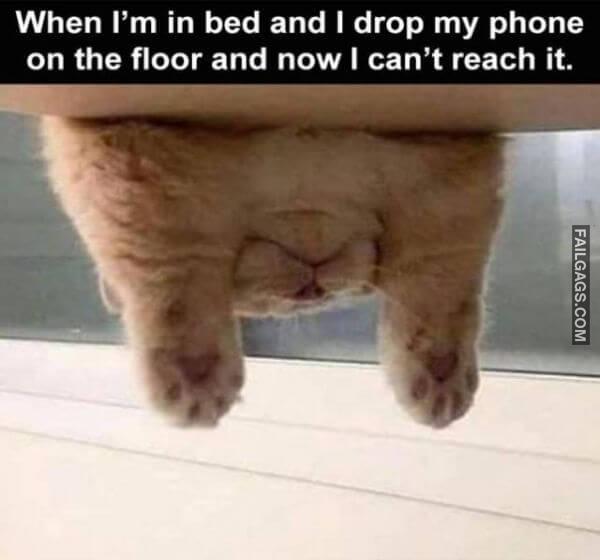 Random Funny Memes 12