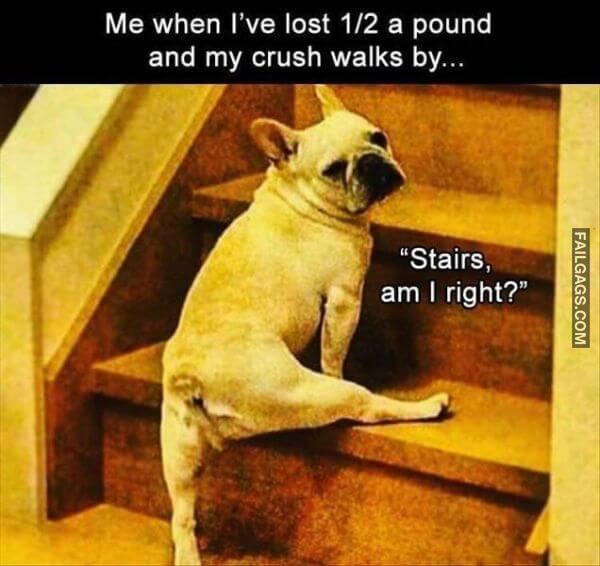 Random Funny Memes 13 1