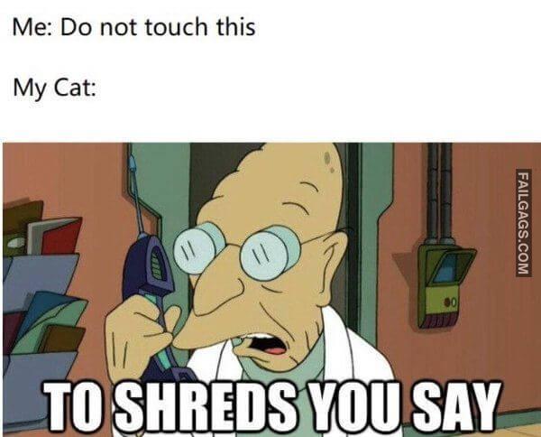 Random Funny Memes 13 11