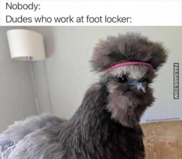 Random Funny Memes 13 3