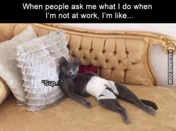 Random Funny Memes 14 1