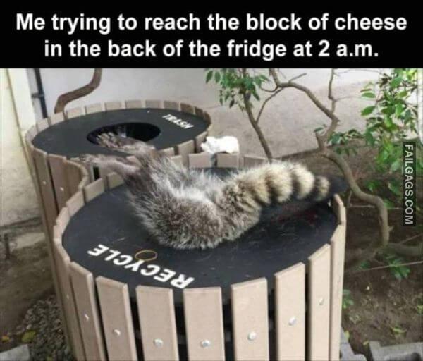 Random Funny Memes 14 3