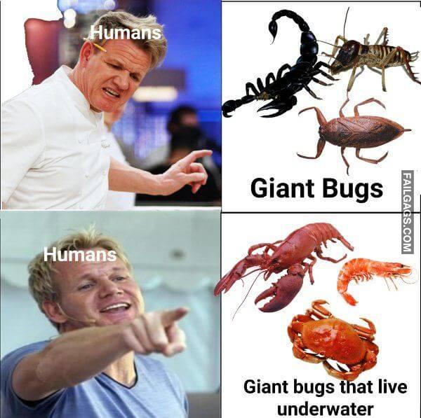 Random Funny Memes 15 4