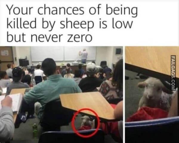 Random Funny Memes 5 10