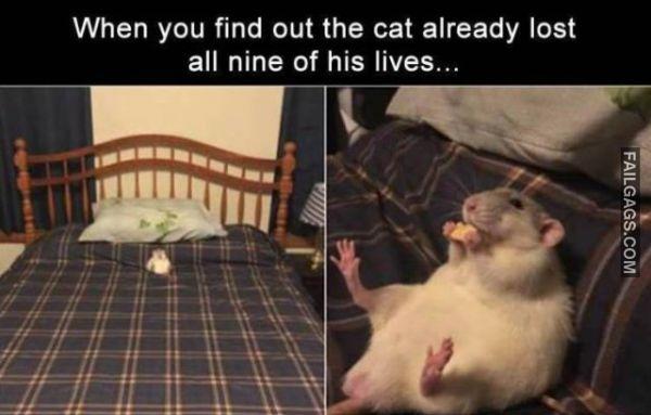 Random Funny Memes 5 12