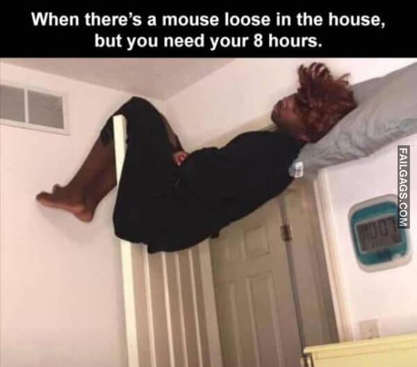 Random Funny Memes 6 10