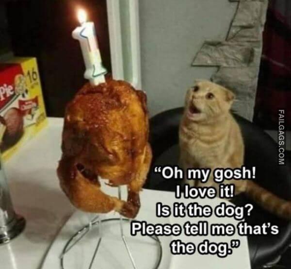 Random Funny Memes 6 5