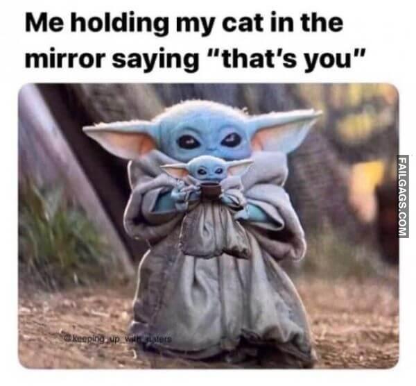 Random Funny Memes 7 10